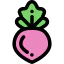 Radish icon 64x64