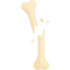 Сломанная кость иконка 64x64