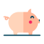 Pig icon 64x64