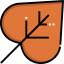 Leaf icon 64x64