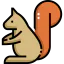 Squirrel icon 64x64