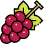 Grape icon 64x64