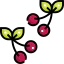 Cherry icon 64x64