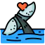 Whale icon 64x64