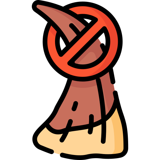 No icon
