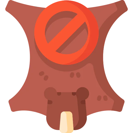 No icon