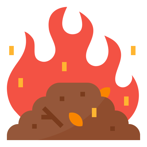 Fire icon