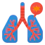 Lungs ícono 64x64