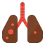 Lung cancer ícono 64x64