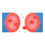 Erythrocytes icon 64x64