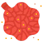 Lung ícono 64x64