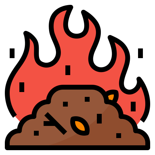 Fire icon