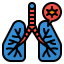 Lungs ícono 64x64