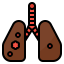 Lung cancer ícono 64x64