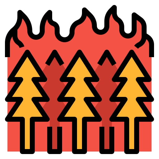 Fire icon