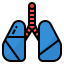 Organ icon 64x64