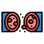 Erythrocytes icon 64x64