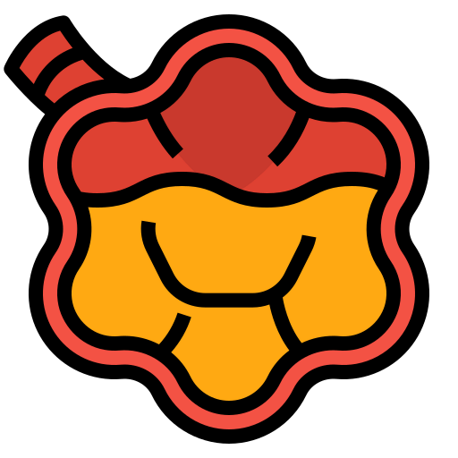 Lung icon