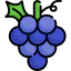 Grapes icon 64x64