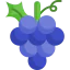 Grapes icon 64x64
