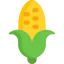 Corn icon 64x64
