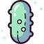 Cucumber icon 64x64