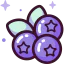 Blueberry icon 64x64