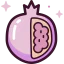 Pomegranate icon 64x64
