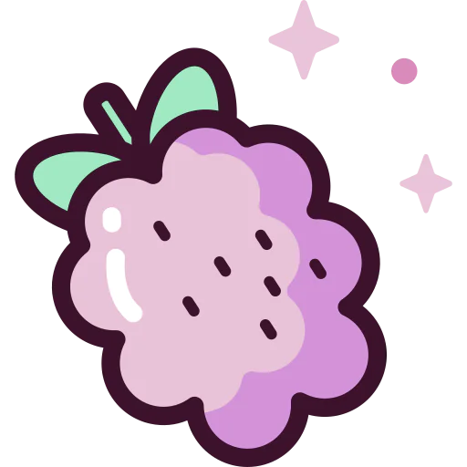 Raspberry icon