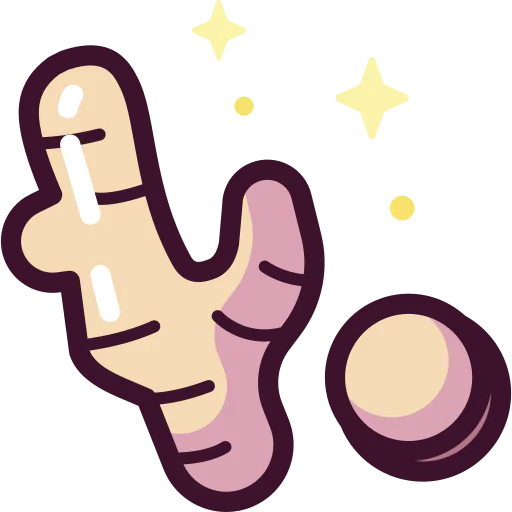 Ginger icon