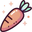 Carrot icon 64x64