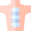 Backbone biểu tượng 64x64