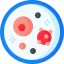 Petri dish icon 64x64