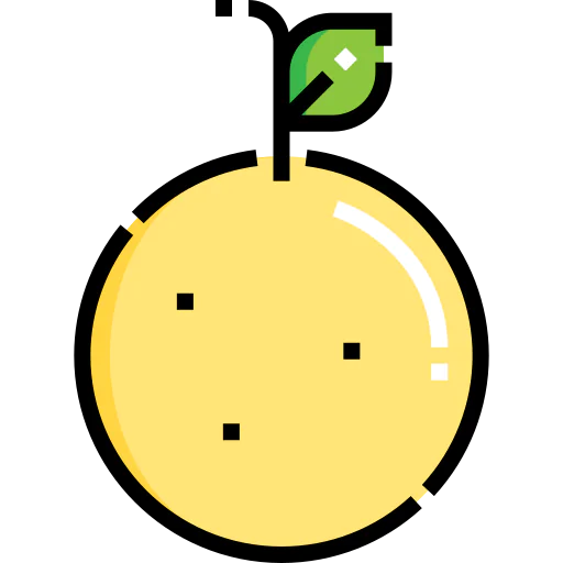 Orange icon