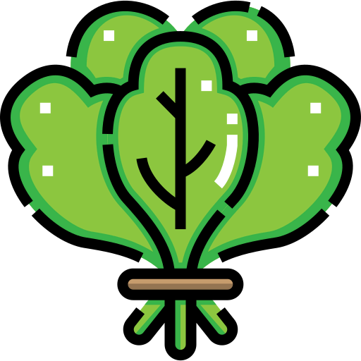 Spinach icon