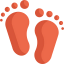 Footprint icon 64x64