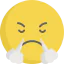 Angry ícono 64x64