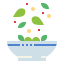 Salad icon 64x64