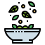 Salad icon 64x64
