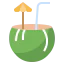 Coconut water 상 64x64