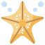 Starfish icon 64x64
