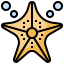 Starfish icon 64x64