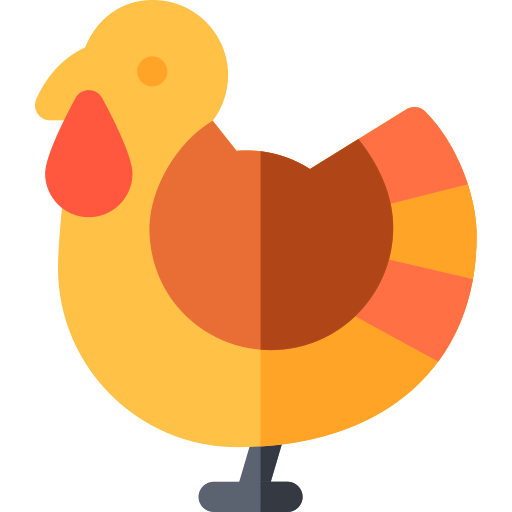Turkey icon