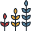 Growth icon 64x64