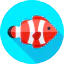 Clown fish icon 64x64