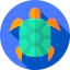 Turtle icône 64x64