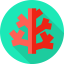 Coral icon 64x64