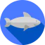 Shark icon 64x64