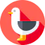 Seagull icon 64x64