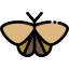 Moth icon 64x64